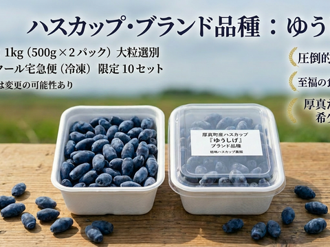 【冷凍ハスカップ1kg】苦味なし甘み極立つ希少品種！畑嶋農園の『ゆうしげ』大粒厳選 手摘み