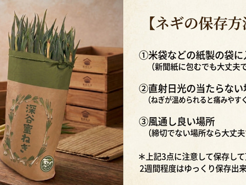 【ねぎとろページ】Larimar14鑑別書付【premium】約10mm 深谷蜜ねぎ（10kg）｜農家直送・新戒産・冬限定の贅沢ねぎ：埼玉県産の