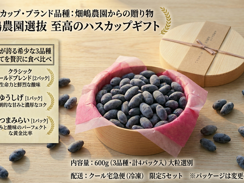 特別な贈り物に！希少ハスカップ3種贅沢食べ比べギフト 600g（150g×4P 北海道厚真町産）
