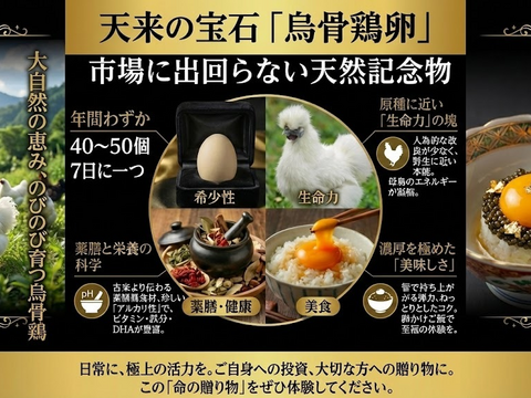 【食べ比べ】希少な烏骨鶏＆濃厚黒どりネラ 16個＋破卵保証4個（計20個）