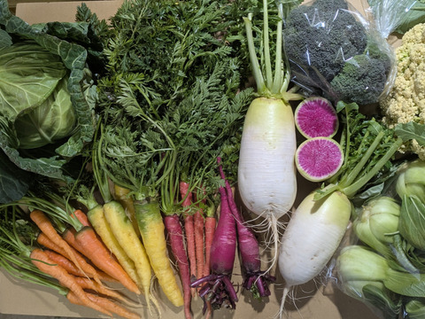 ❄☃️５品冬の野菜セット☃️❄