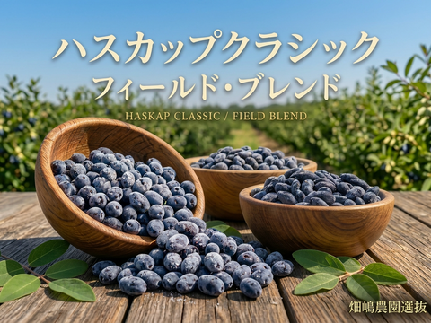 【冷凍ハスカップ1kg】畑嶋農園の原点クラシック・フィールドブレンド 500g×2 手摘み・鮮烈な酸味の大粒厳選