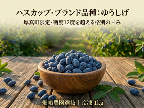 【冷凍ハスカップ1kg】苦味なし甘み極立つ希少品種！畑嶋農園の『ゆうしげ』大粒厳選 手摘み