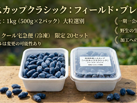 【冷凍ハスカップ1kg】畑嶋農園の原点クラシック・フィールドブレンド 500g×2 手摘み・鮮烈な酸味の大粒厳選