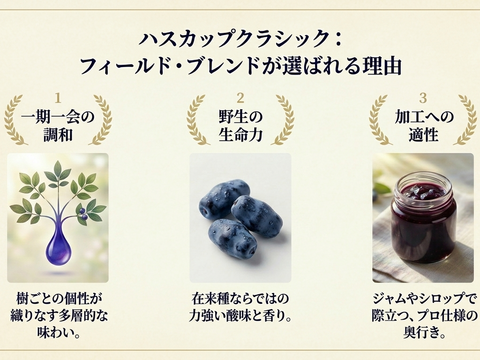 【冷凍ハスカップ1kg】畑嶋農園の原点クラシック・フィールドブレンド 500g×2 手摘み・鮮烈な酸味の大粒厳選