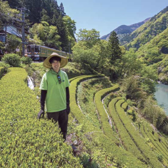 中井侍銘茶・紅茶　なかや農園　ニ代目七郎平