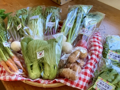 【自然栽培🍀80サイズ】朝採り新鮮！旬菜セットM（３〜５人様向け）