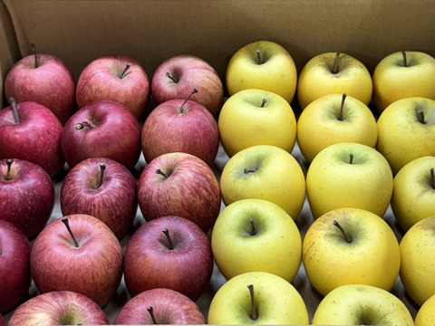 【極小玉・バラ詰め】サンふじ＆シナノゴールド🍎💛家庭用約5Kg🍎💛ハーフセット　毎日りんご　コスパ抜群　青森県産　数量限定
