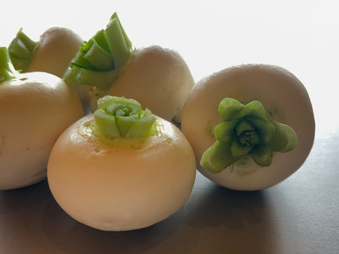 小カブの最高峰！しっとり甘味たっぷりの「みやま小カブ」約1kg