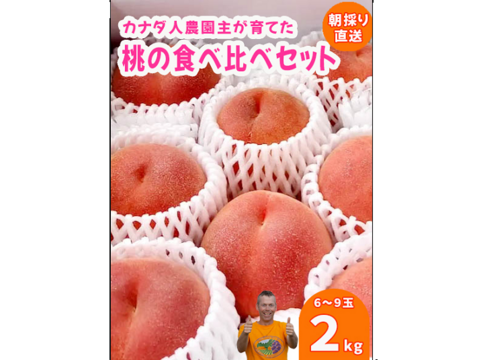 【カナダ人農園主の真心を込めた】”朝採り新鮮”ももの食べ比べセット約２ｋｇ