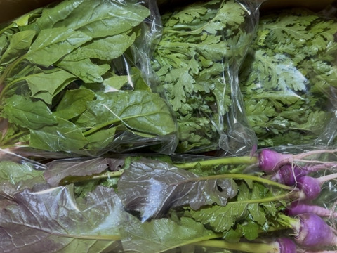 【自然栽培】会津伝統野菜含む5~8品目旬のお野菜セットLサイズ