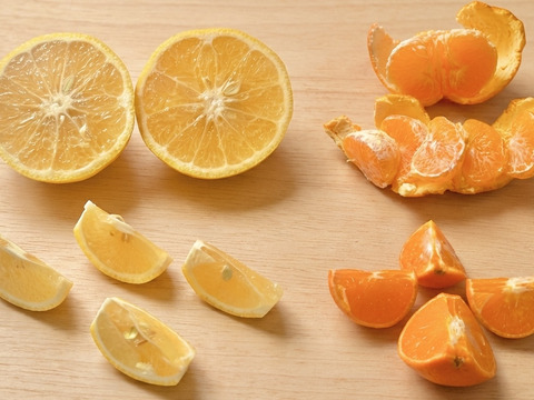 レア3種×キズ得🍊べにばえ🍊はれひめ🍊はるか 食べ比べ福岡柑橘セット 9kg (一部外皮キズあり)※発送は2月1日頃より開始いたします※