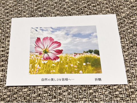 【福袋】野生日本蜜蜂の発酵蜜　生はちみつ110g 1瓶