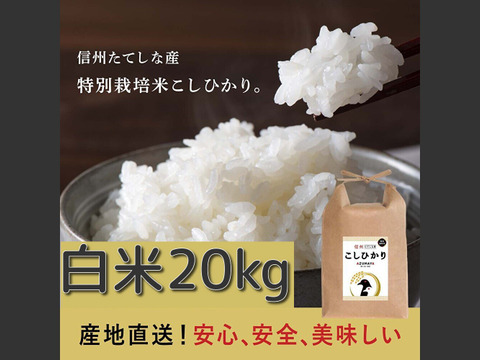 令和4年度産】白米20kg 信州たてしな産 コシヒカリ：長野県産の米