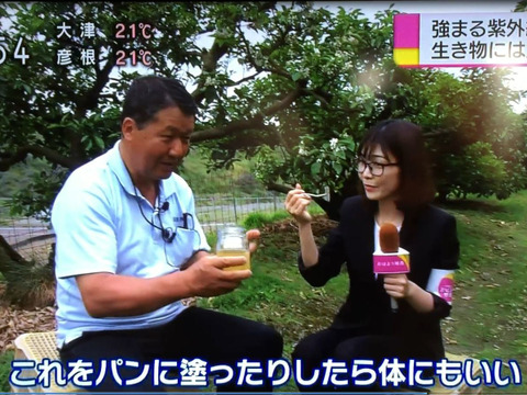 和歌山県産☆純粋特撰百花蜜！1200ｇビン　☆2023年採蜜☆　はちみつ