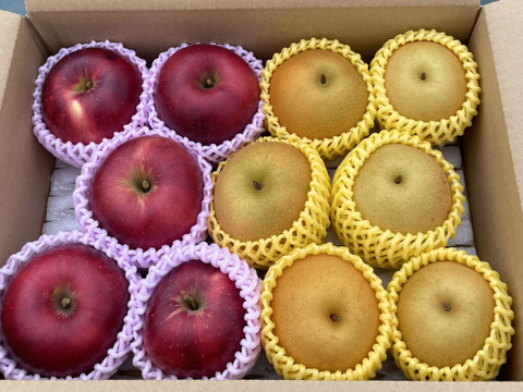 収穫祭 【農薬節減 】りんご  サンつがる　和梨　【あきづき　豊水】約3キロ詰め合わせ