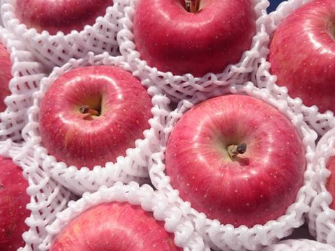 ◎特別栽培りんご◎【特選品】早生ふじ【昂林】8〜12玉