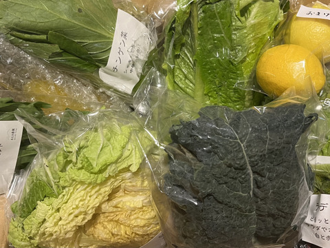 【今だけ！】農薬化学肥料不使用キラピカ野菜BOX7品グリーンレモン&ぴゅあみかんジュース１本