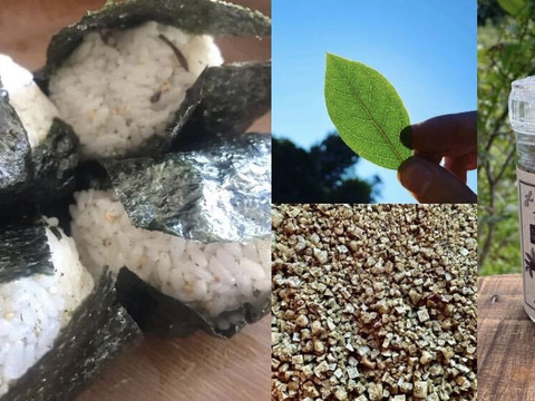 【福袋】ジャム3本＋ハーブソルト（ブルーベリー葉の塩）のお買得セット　※まとめ買い対応