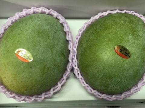 幻のキーツマンゴー (贈答用）2kg〜　2玉〜3玉　8/29以降発送(食べ頃)