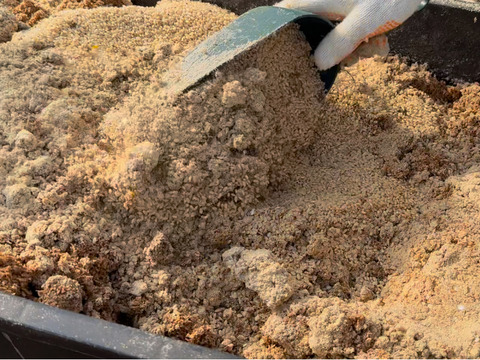 トウモロコシ不使用・こだわりの発酵飼料を食べた『あずさ』の平飼い卵6個入りパック×2個（12個）