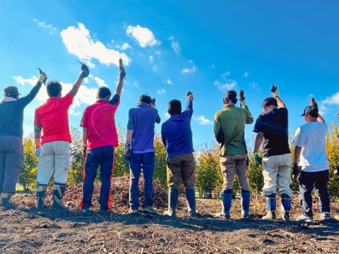 『ほしいも』サービス品　180g×4袋セット