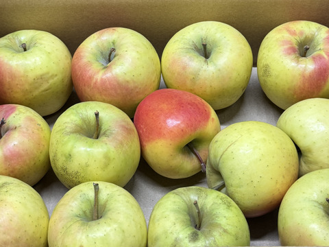 ★残りわずか★【訳あり・バラ詰め・大小込み】ぐんま名月💛約2.7Kg🍏青森県産　数量限定