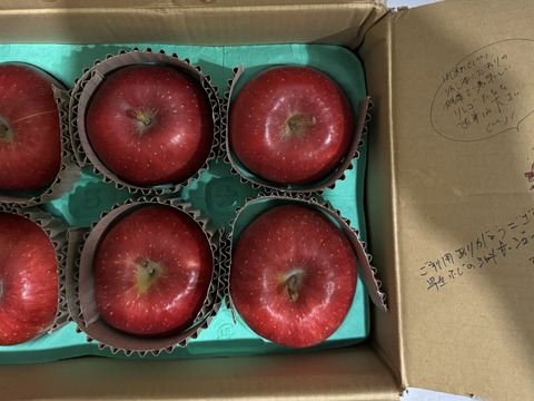 【早生ふじ】（2kg・6～9個入り）シャキ甘・ジューシーお得な家庭用