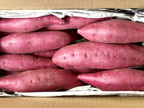 【新芋】サラサラと口で溶けるホクホク系‼︎新品種「ゆきこまち」 3キロ箱