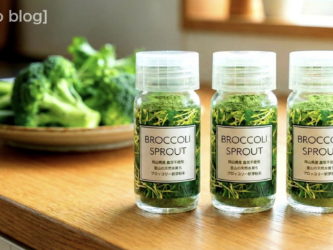 ブロッコリースプラウトパウダー　スパイスボトル入り（10g）×３本セット