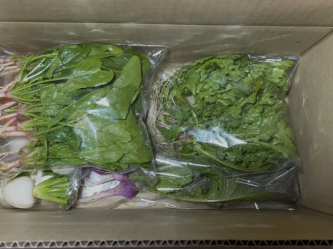 【自然栽培】6品目お試し旬のお野菜セット