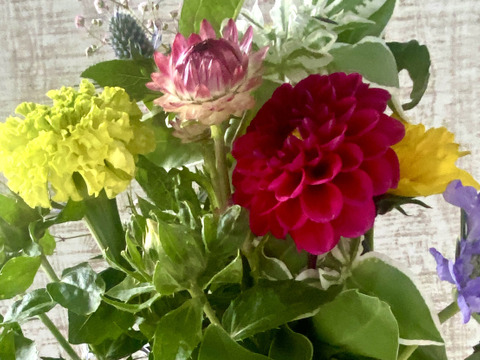 【香川のお花の生産農家より】たっぷりの彩どり、おまかせブーケー（プレゼントにもおすすめ）