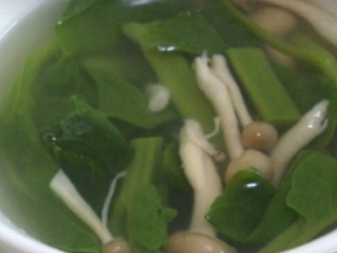 夏の健康野菜。ツルッとツルムラサキ1000g