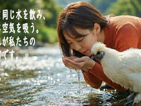 【食べ比べ】希少な烏骨鶏＆濃厚黒どりネラ 16個＋破卵保証4個（計20個）