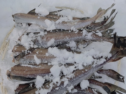 スケソウダラの極寒の地での熟成干し2.5キロ