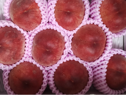 お買い得！まるせい果樹園の桃　早生桃【おまかせ】2kg(6～11玉入り)自家用　贈答用 om1