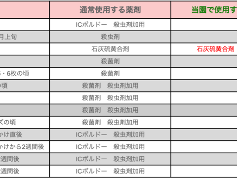 【農薬節約栽培】巨峰2房・シャイン・ピオーネ詰め合わせ(種なし) 2キロ箱
