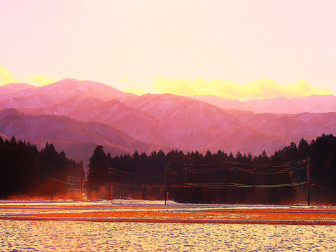 新潟産【こしひかり】1㎏×2袋と【新之助】1㎏×1袋と【恋の予感】1㎏×1袋の3品種で4袋と【縁結び】300ｇ×1袋と【ひとめぼれ】300ｇ×1袋の合計6袋での4.6㎏です