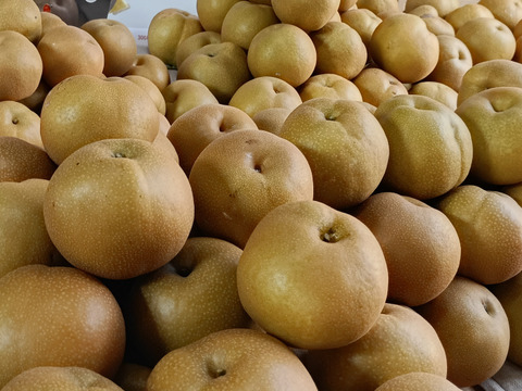 果汁たっぷり糖度13以上美味しい
大きな豊水梨 3個入り