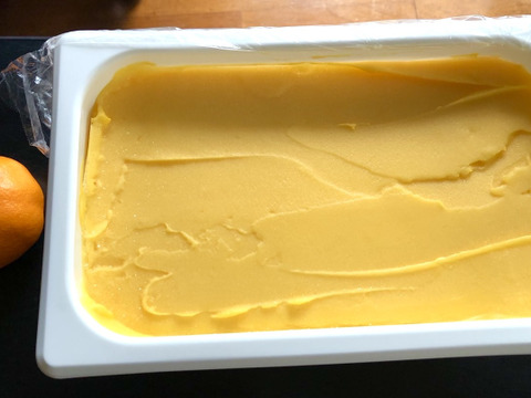 阿蘇ジャージー牛乳と化学肥料農薬不使用栽培「せとか」のコラボジェラート　4000ml