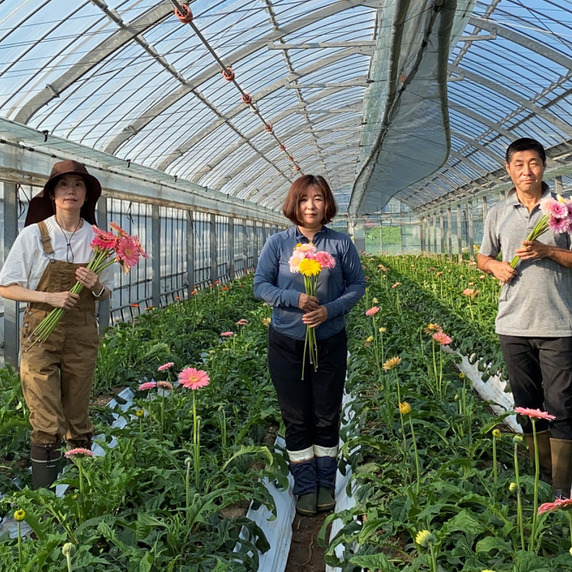 First Company ウメダ花園