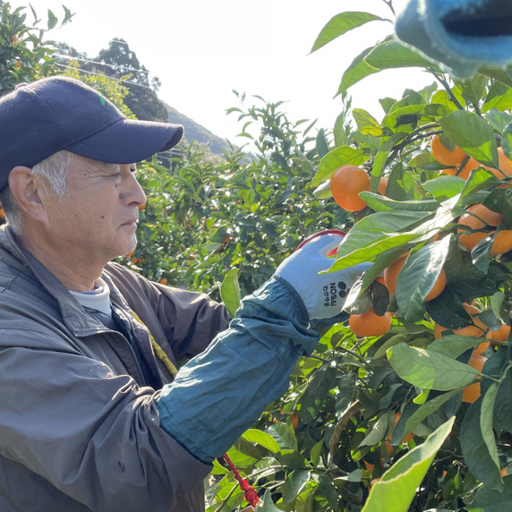 とっちゃんふぁーむ