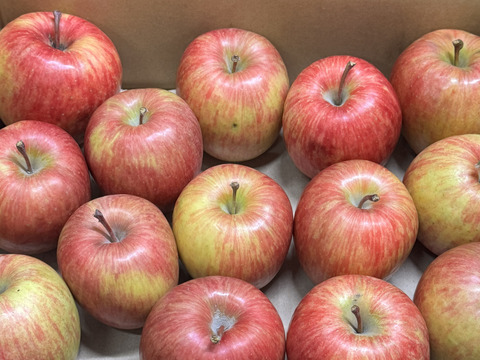 ★在庫限り★【訳あり・バラ詰め】まさゆめ🍎約2.7Kg　在庫限り　ふじの子供　希少品種　新品種　果汁たっぷり　流行の先取り　青森県産　数量限定