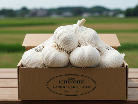 青森県産ニンニク　白玉王　5kg SOLD OUT】【限定20個】にんにくの王様 青森にんにく『白玉王