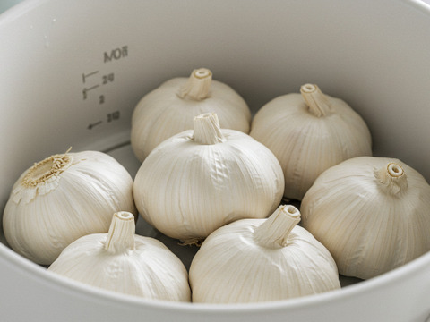 【再販決定！】【限定20個】にんにくの王様　青森にんにく『白玉王』最高規格　特大玉(特別な日・贈答用：500g)