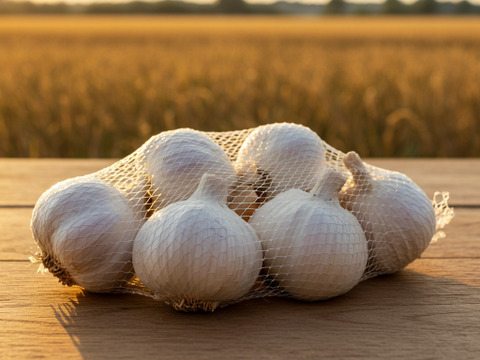 ふわふわ】青森県産ニンニク 白玉王 種子17kg 再販決定！】【限定20個