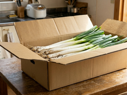 農薬・肥料不使用！松本一本ネギ1kg＆米粉500gセット