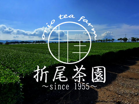 大容量！紐なし知覧煎茶ティーバッグ 3g×30P