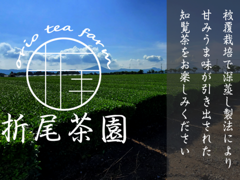 【新茶】2024年摘み知覧茶　1袋100g×2袋　日本茶インストラクター在籍店　茶農家が販売するお茶　深蒸し煎茶　かぶせ茶