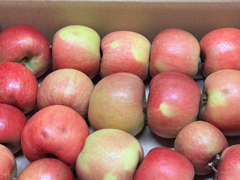 【在庫限り!!】「訳あり・お買い得!!バラ詰めのこうとく !! 」約３Kg青森県産 数量限定 高徳 りんご『話題のリンゴはここみつけたら即買いをお勧めします!!』なるべく蜜入り 有識者が選びました